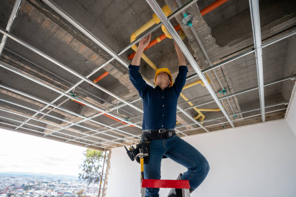 Best Plumbing Services Near Me  in Elmira Heights, NY
